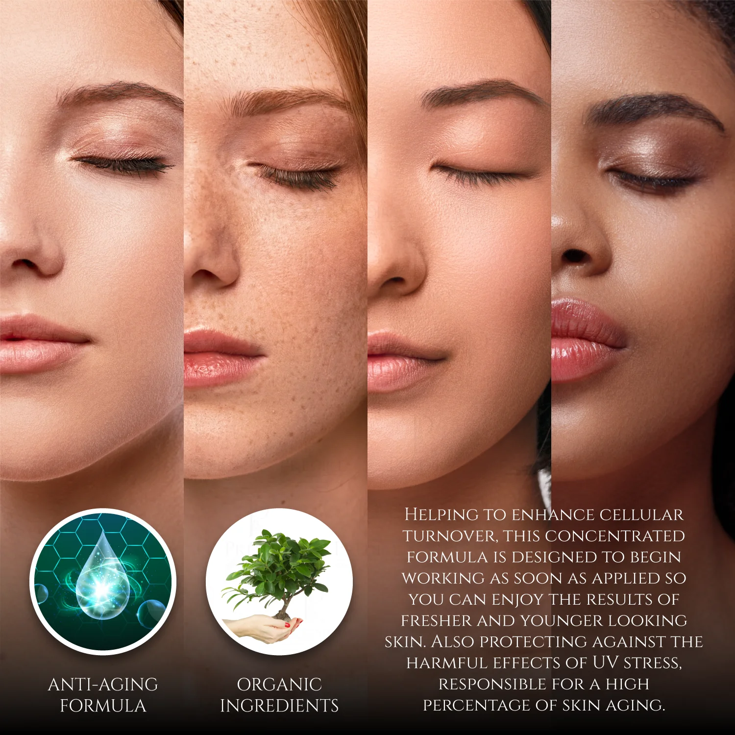 24K Gold Leaf 50X Age-Defying Concentrate | Multi-Vitamin A, C, & E with Retinol & Collagen Booster - Image 4